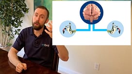 Vestibular teaching Shawn Waller, DPT teaching