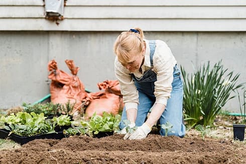 senior gardening