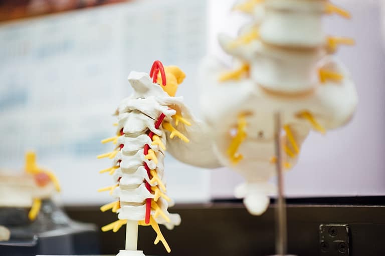 5 Best Exercises for Spinal Stenosis and Degenerative Disc Disease ...